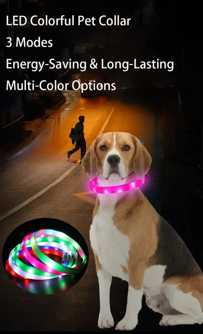 LED dog collar colorful pet collar with 3 modes, energy-saving, long-lasting multi-color options for dog safety