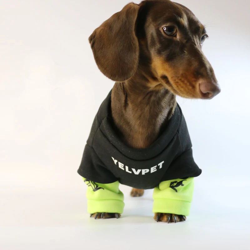 S04b25e73e3d843b38497748b12ee2ee6S_51c50c7c-5d0a-4119-ba79-f631bd11af1c - bestdoggylife.shop