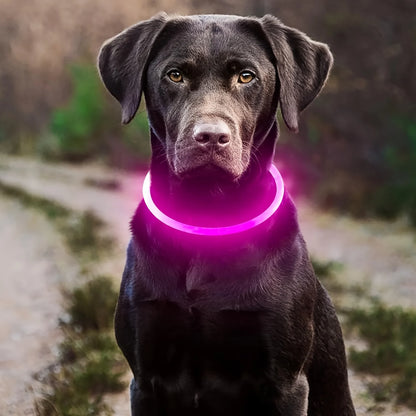 S04d16745f3d74f04a76fe59b3bb5fe93m_9319731b-df40-44b5-84ea-6827830151b6 - bestdoggylife.shop