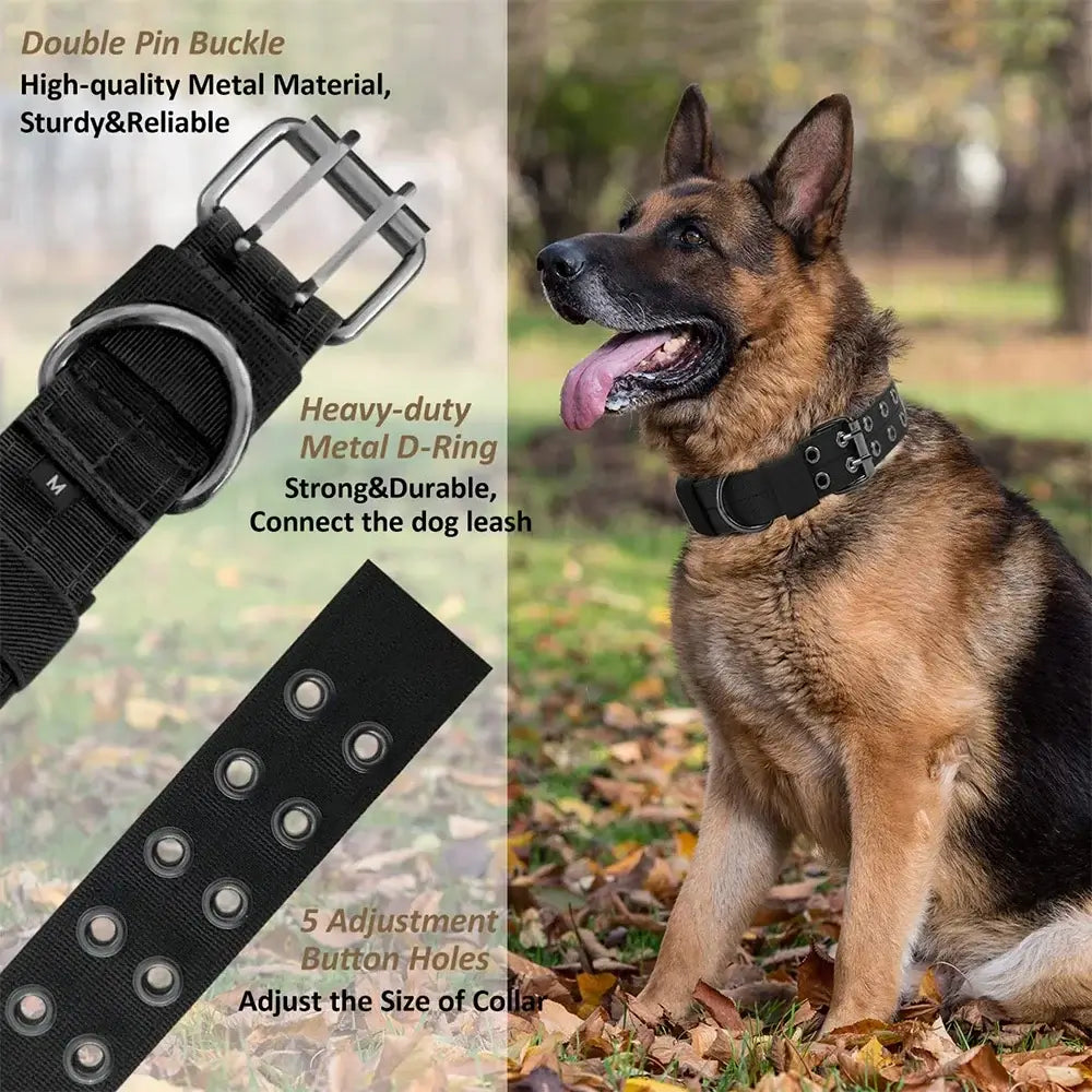 tactical dog collar with metal buckle and D-ring for durable training, walking, and outdoor use on medium to large dogs