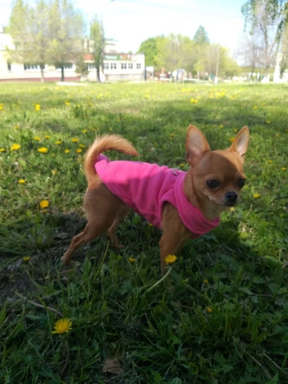 S06229b44b57f4b3c962990c870fb4c50F - bestdoggylife.shop