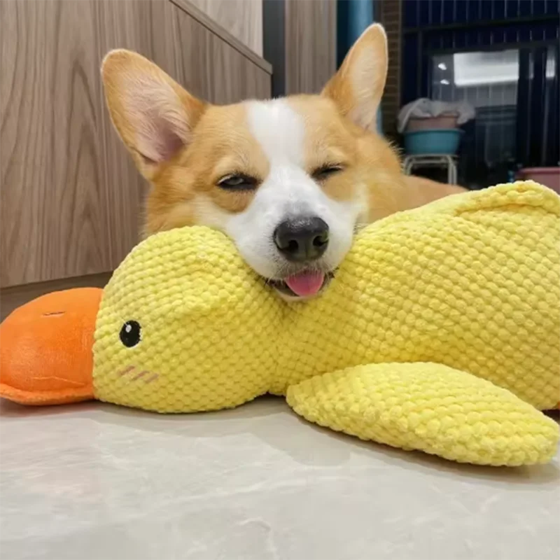 Cute corgi chewing yellow bite resistant dog plush toy duck for dental cleaning and boredom relief