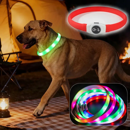 LED dog collar glowing green on a dog, waterproof USB rechargeable safety collar with 3 light modes for all dog sizes