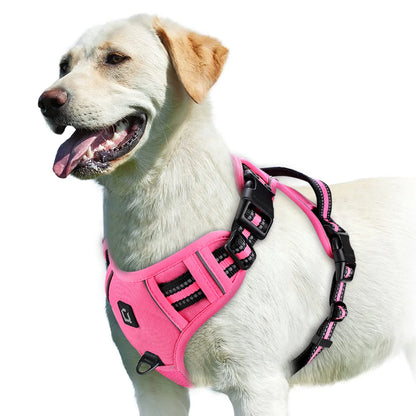S069b1b18ecd94331a3cd469fa29656b6B - bestdoggylife.shop