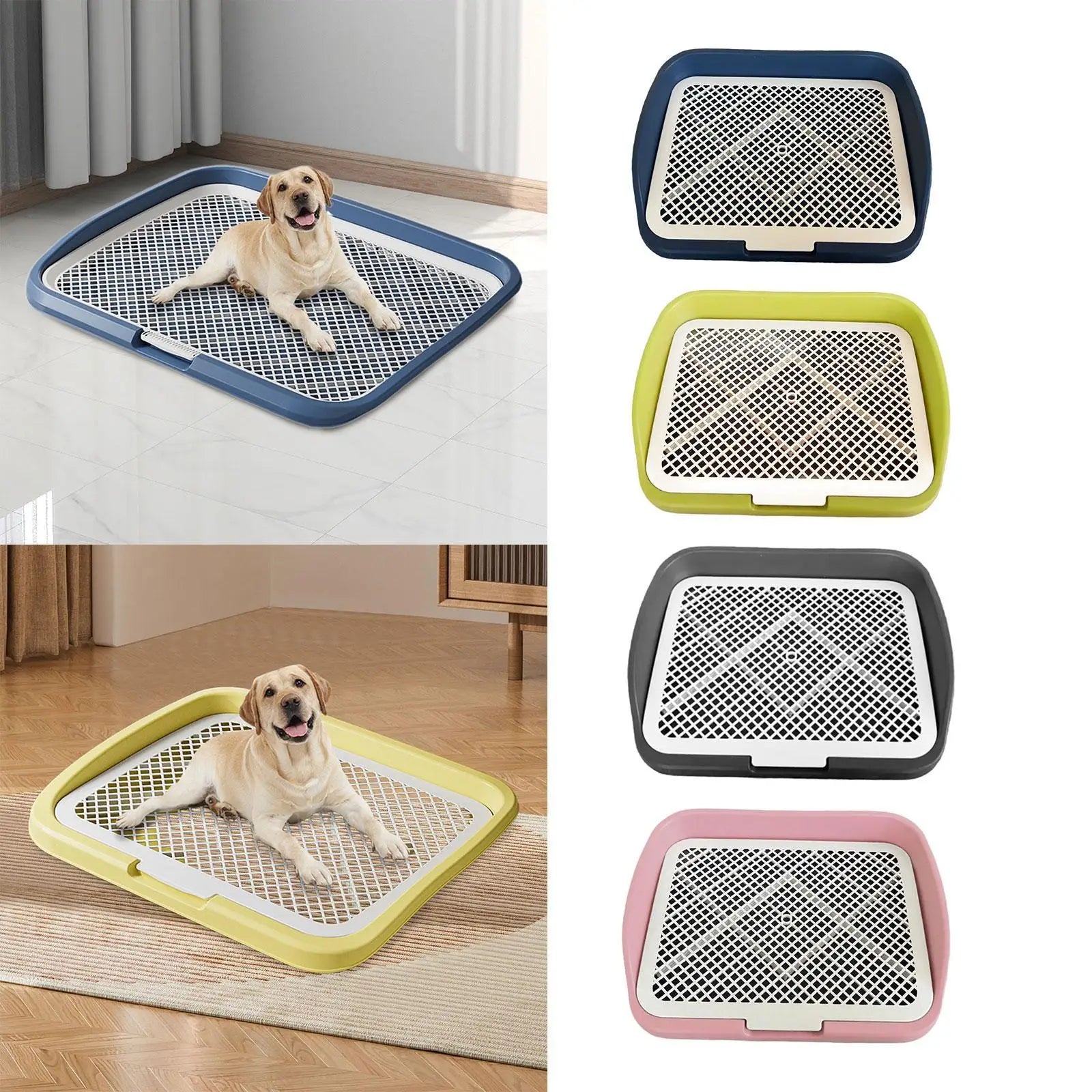 Large dog sitting on a mesh dog potty training tray in blue and yellow, with trays in four colors shown.