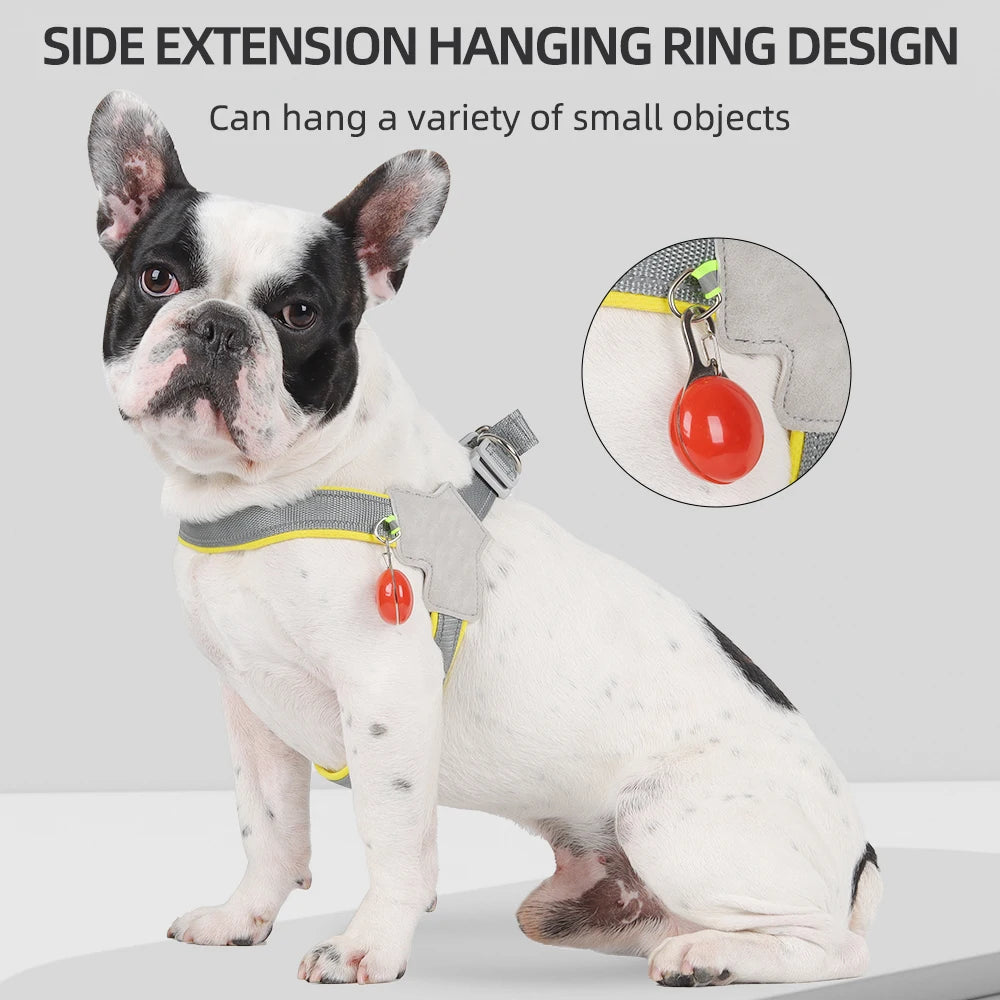 French Bulldog wearing a gray dog harness with side extension ring and red accessory attached