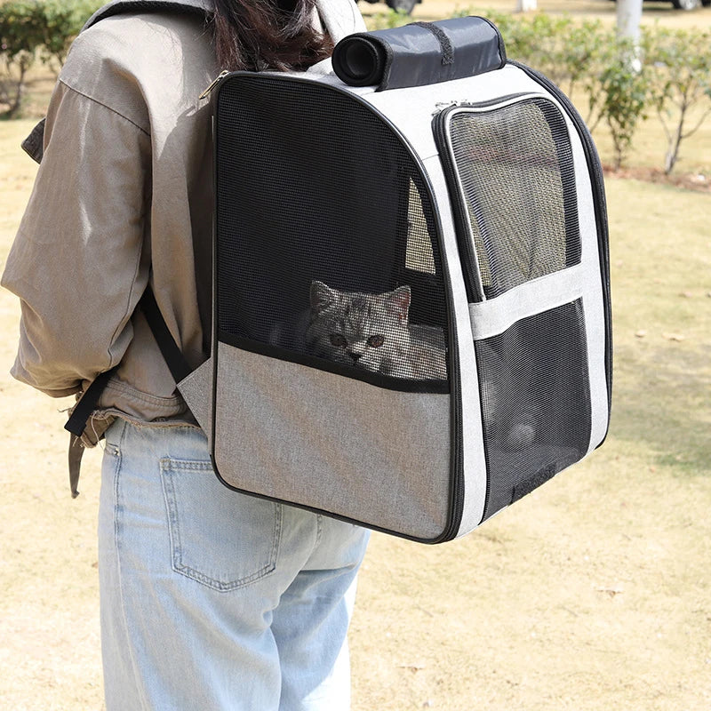 breathable cat carrier backpack for small cats, foldable outdoor pet travel bag with mesh panels