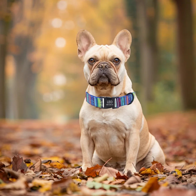 Pet Dog Collar Nylon Personalized Necklace Dog Supplies Free Engraving Name for Small Medium Large Dogs Adjustable Dog Collars