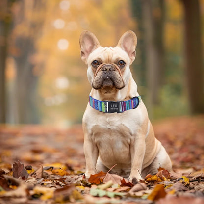 Pet Dog Collar Nylon Personalized Necklace Dog Supplies Free Engraving Name for Small Medium Large Dogs Adjustable Dog Collars