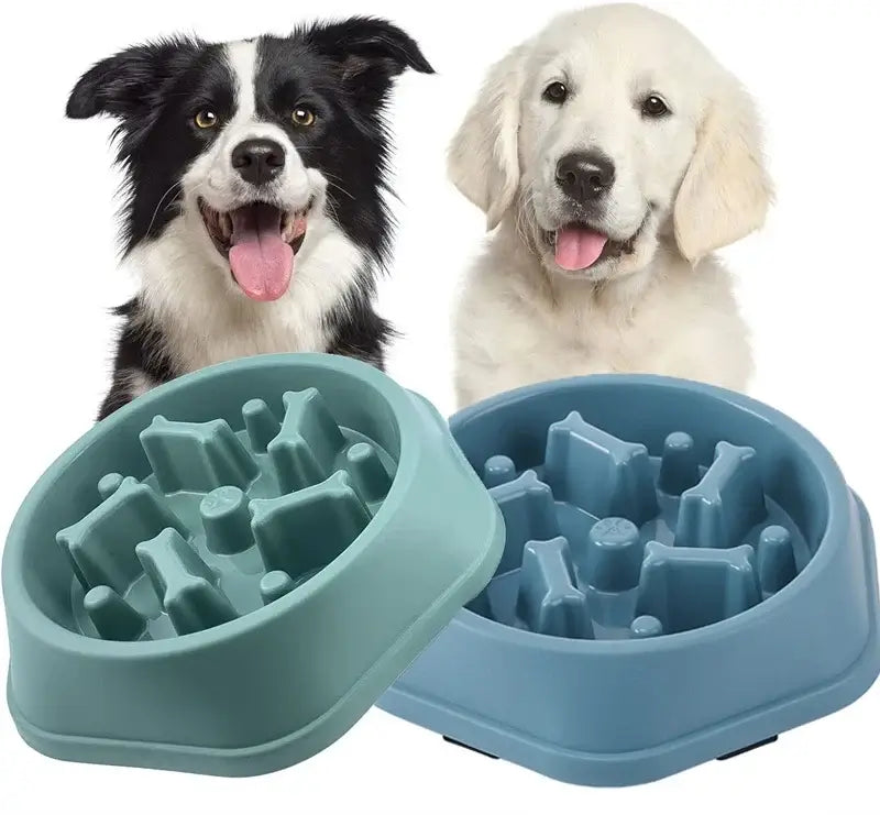slow feeder dog bowl anti-choking puzzle pet bowl in GN and blue for small to medium dogs with anti-slip base