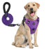 escape proof no pull dog harness and leash combo purple reflective adjustable soft padded vest harness for adult dogs