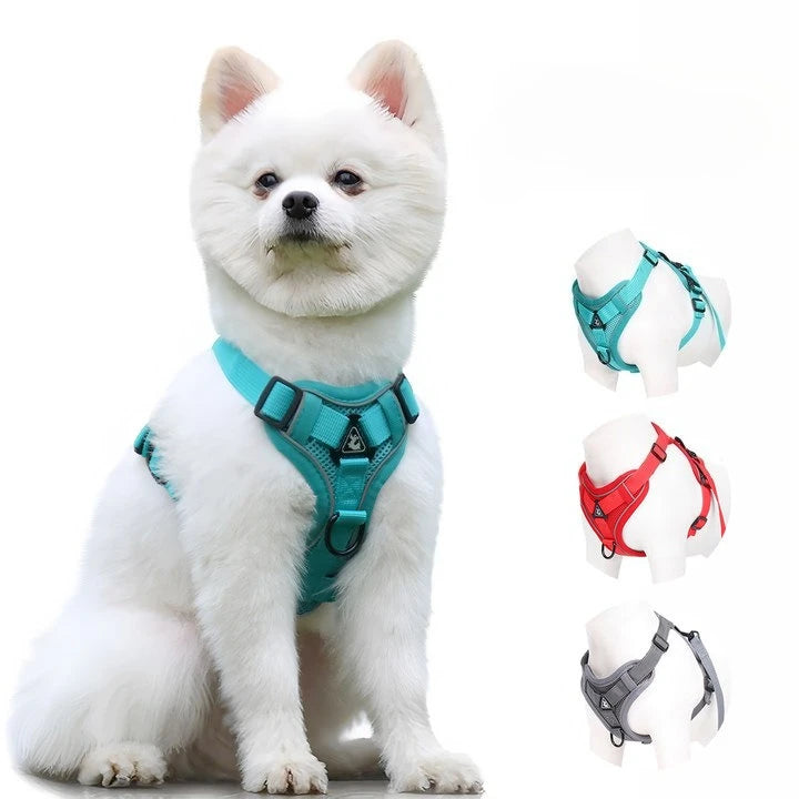 Reflective cat harness and leash set breathable mesh harness for small dogs and kittens, turquoise