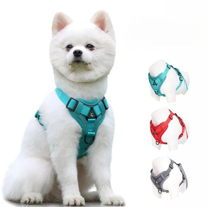 Reflective cat harness and leash set breathable mesh harness for small dogs and kittens, turquoise