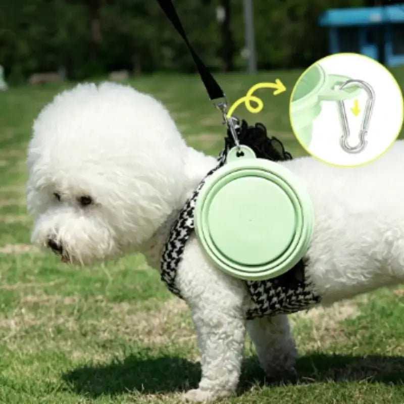 Collapsible pet travel bowl clipped to a dog harness for portable outdoor feeding and hydration