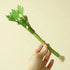silver vine cat chew toy, 1pc green felt squeaky celery stick for kitten teeth cleaning, 27x7.5x1cm, ships from China Mainland