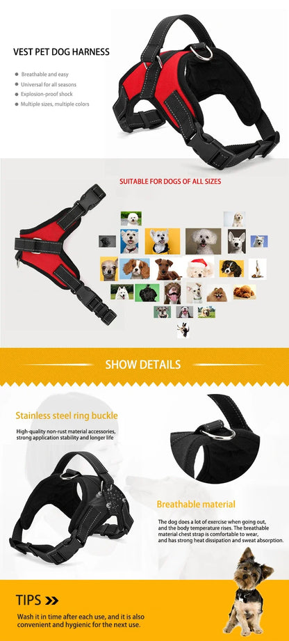 S084bd3bf1afa4e4caffcb6cf2da41b02l - bestdoggylife.shop