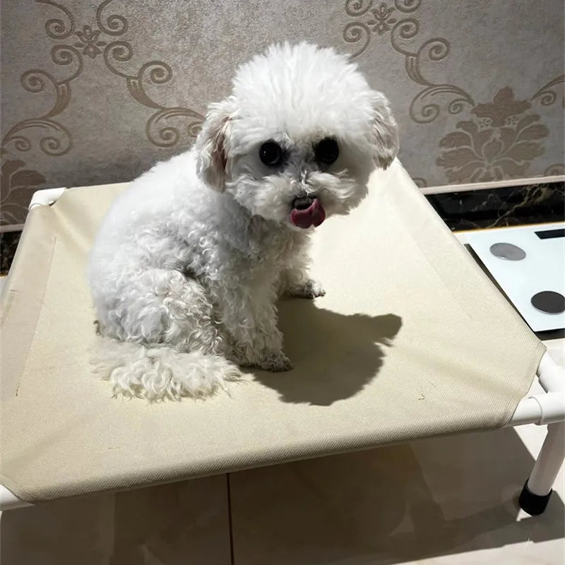 White puppy sitting on elevated dog camping bed with removable washable nylon hammock design