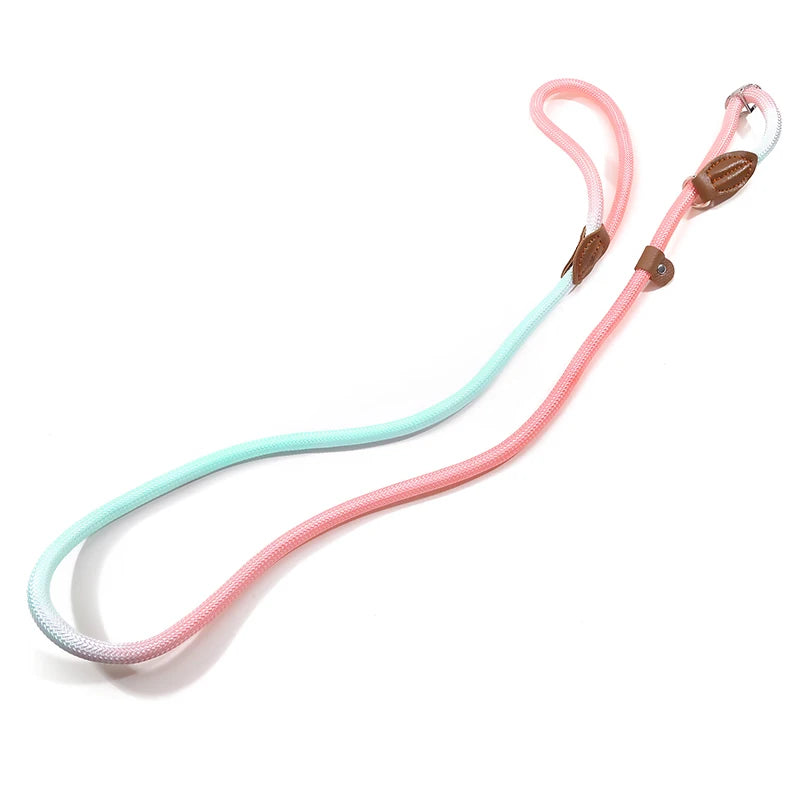 S08b3b02e27ab4b758a6eaaa28050e480T - bestdoggylife.shop