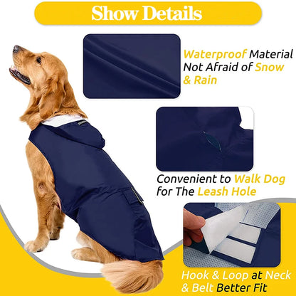 Golden retriever wearing navy waterproof dog raincoat with leash hole and adjustable straps.