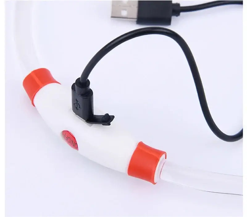 LED dog collar light with USB charging cable, glowing safety collar for nighttime pets, quick release reflective design