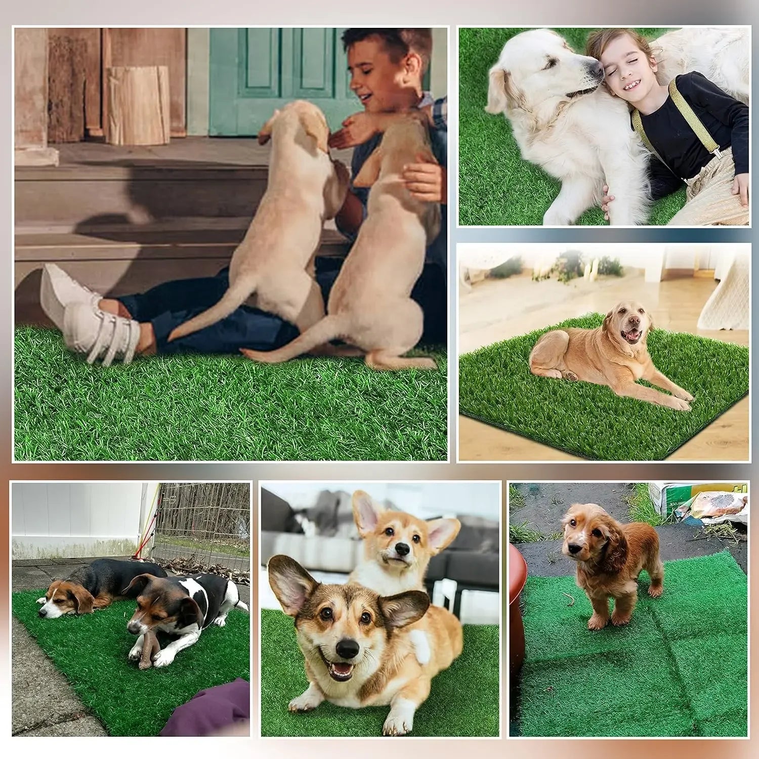 S0b7979554ac94f6c940a8df92568cfe35 - bestdoggylife.shop