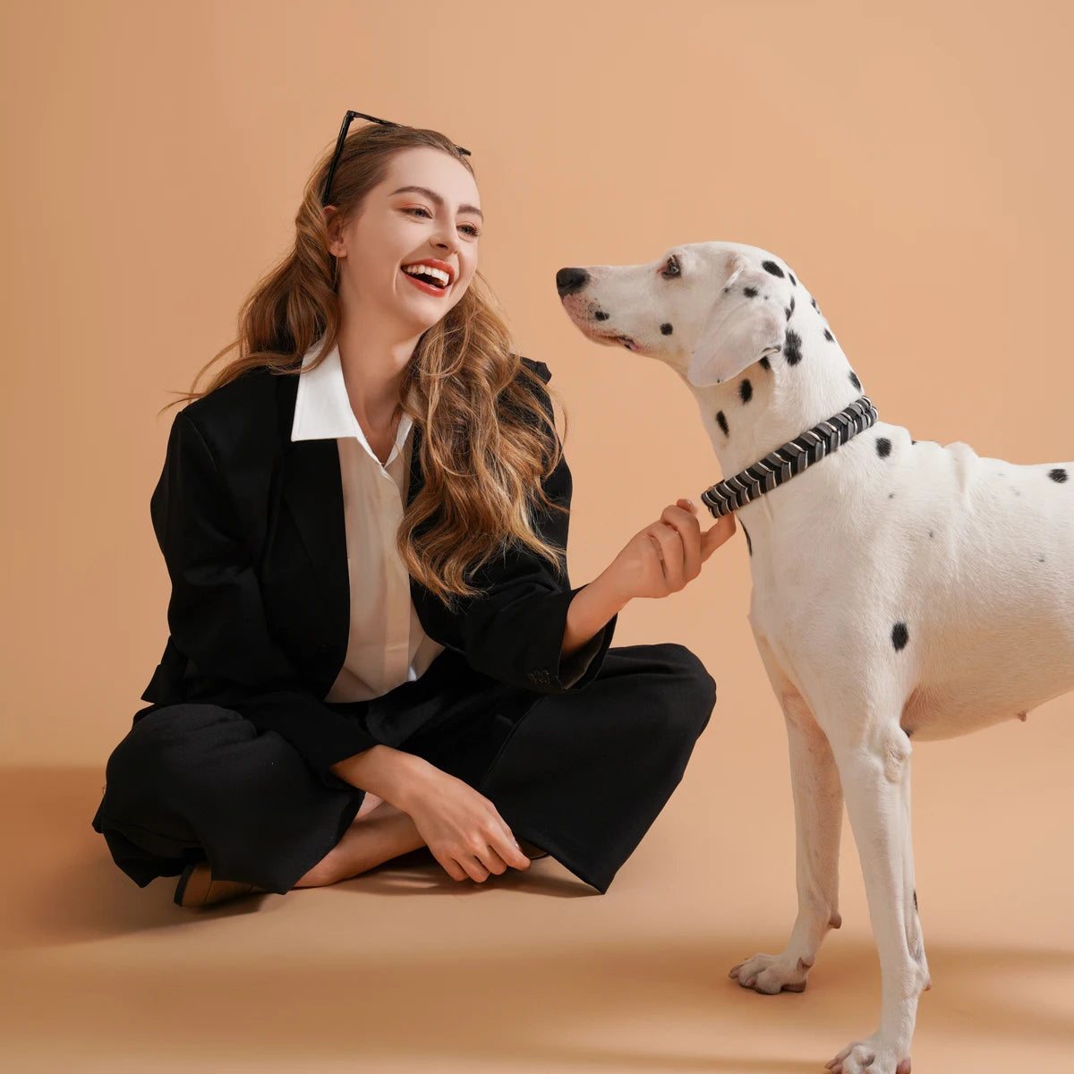 S0bbd6219e2a44452b25064a1152f4e51q - bestdoggylife.shop