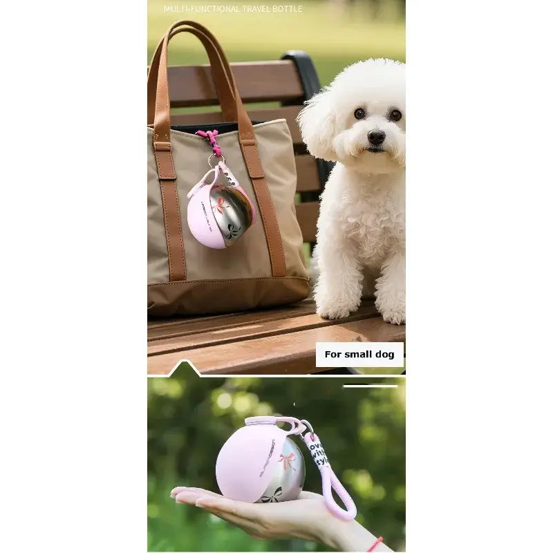 Portable dog water bottle for small dogs with travel dispenser and bowl for outdoor walks and pet hydration