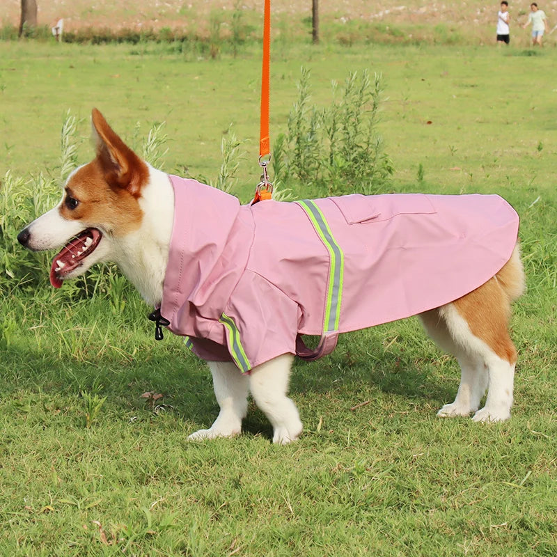 S0c042c141fd94ee5bdb21f3c4032a509P - bestdoggylife.shop