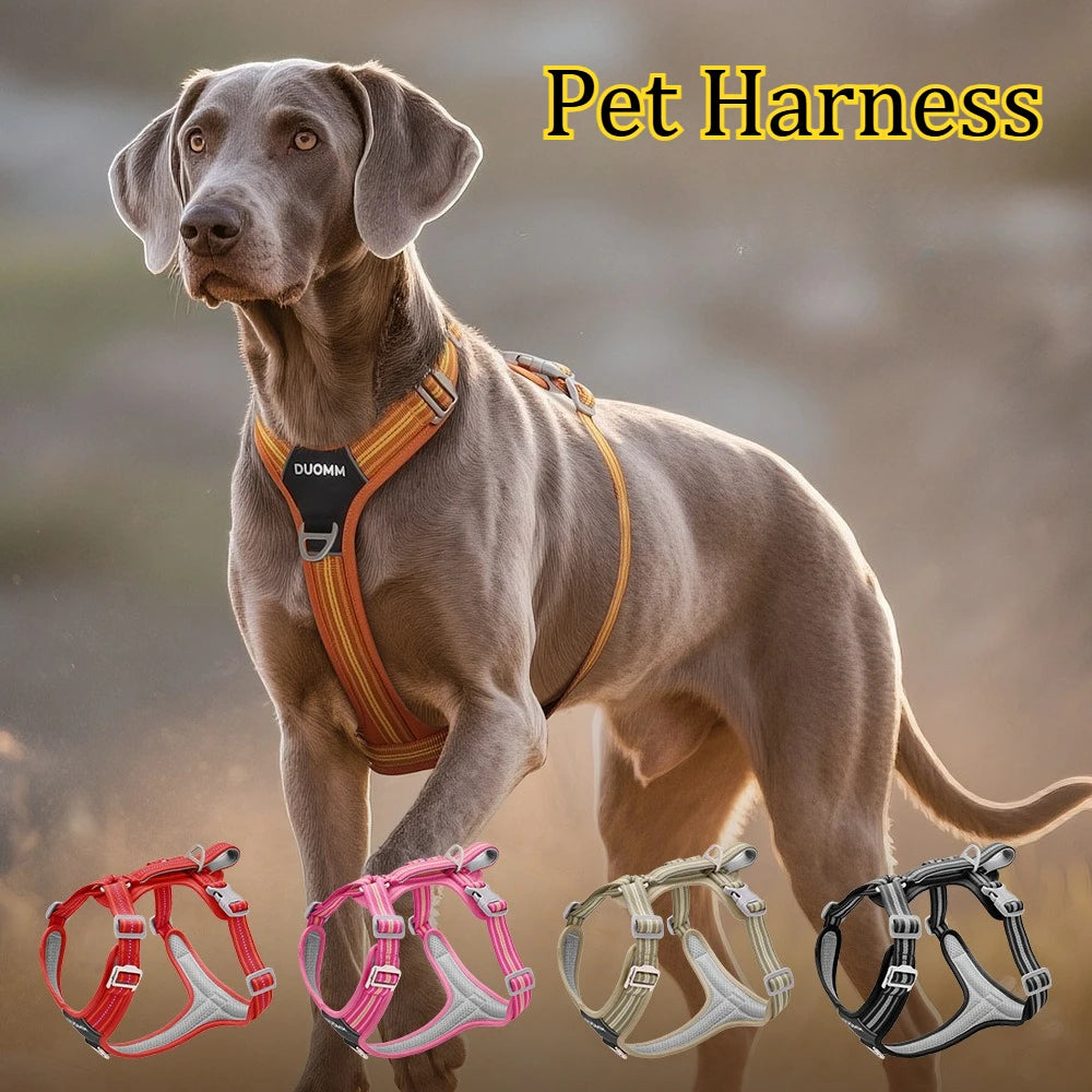 S0d3ab5169642444c965940e8d4f31803m - bestdoggylife.shop