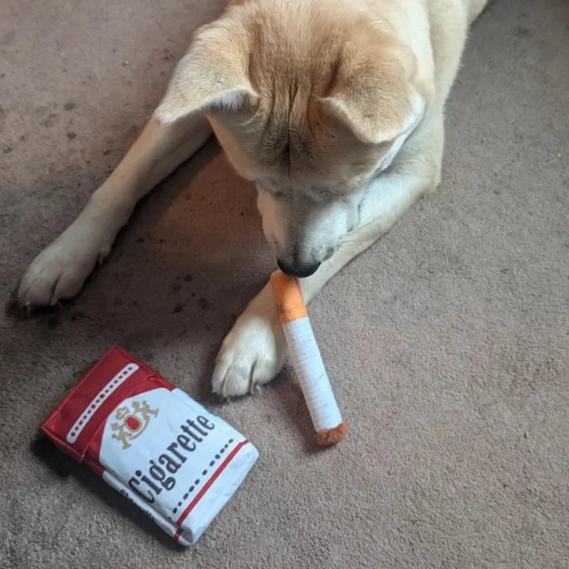 Dog playing with plush cigarette dog toy, funny chewing toy gift for dogs, cigarette case design plush pet toy
