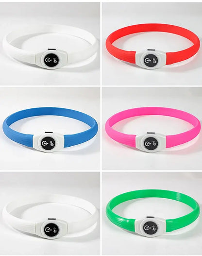 LED dog collar, waterproof USB rechargeable illuminated dog safety collar in multiple colors for large, medium and small dogs
