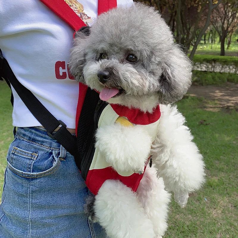 pet backpack carrier for small dogs in red front carrier with fluffy toy poodle for outdoor travel