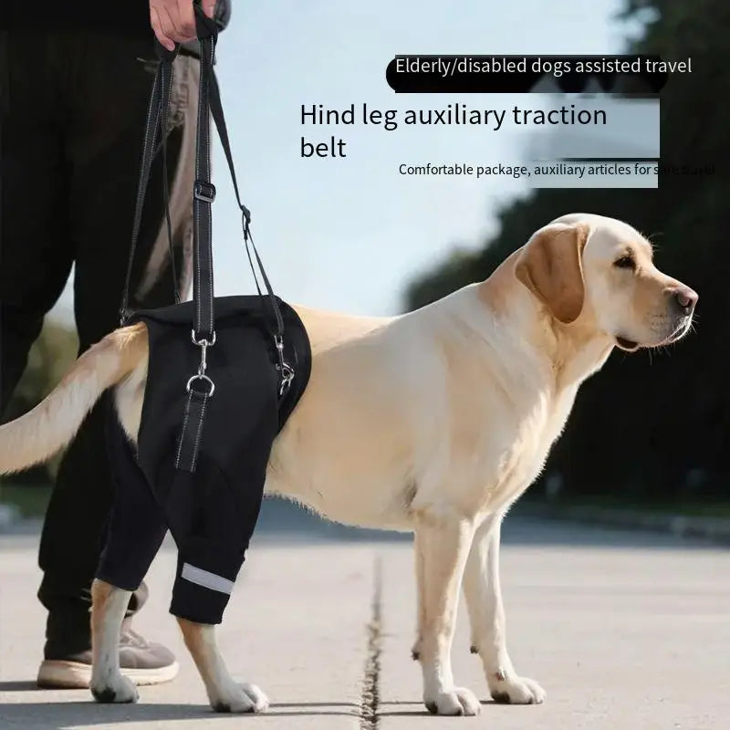 Dog Support Harness Elderly Dogs Adjustable Rehabilitation Mobility Aid Walk Comfortable Orthopedic Back Leg Lift Support Belt
