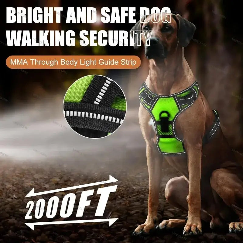 LED dog harness for night walking bright glowing vest harness with three LED light modes, 2000ft visibility for dog safety