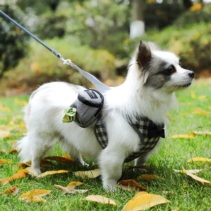 Small dog wearing a plaid dog harness with leash and poo bag pouch outdoors on grass