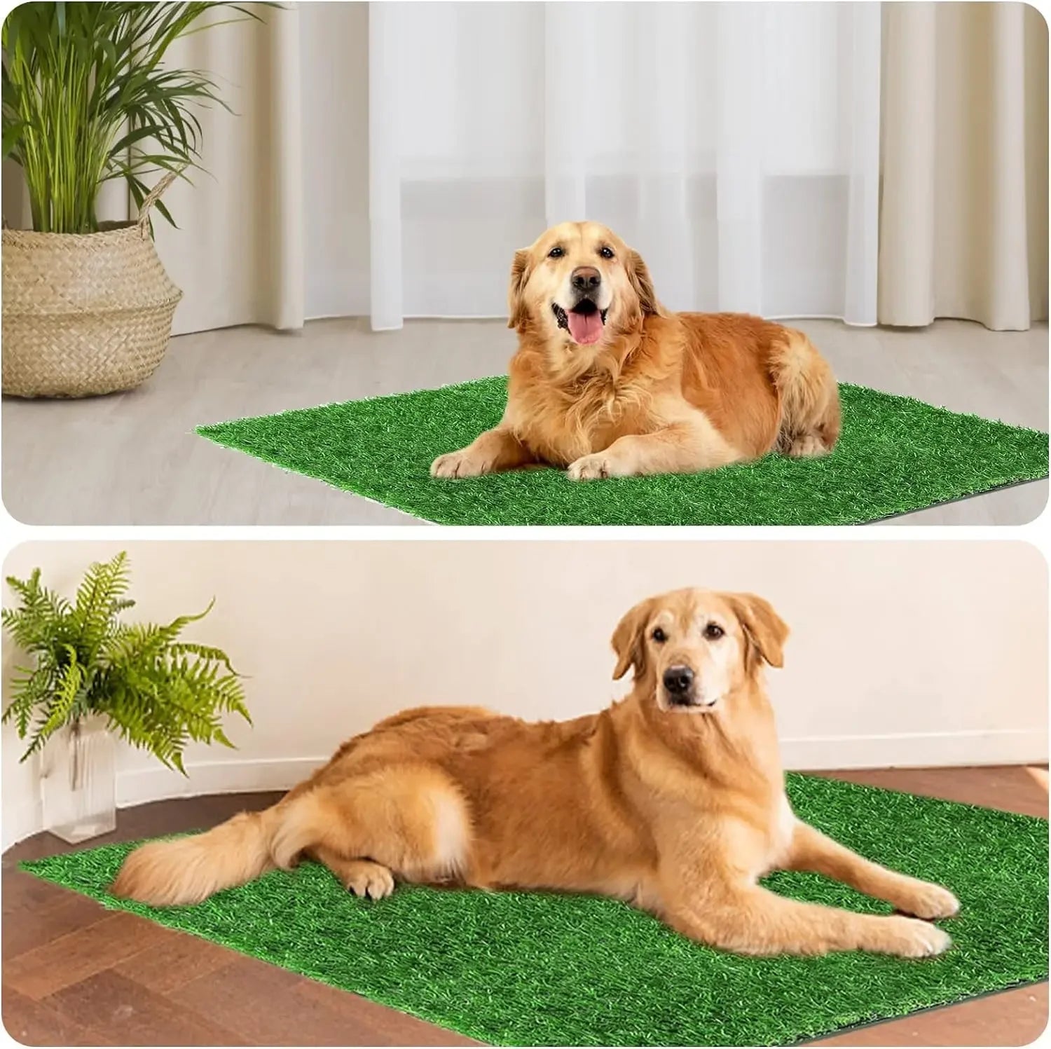 S11ed3af8c46c4219bbdc792b60a2c774U - bestdoggylife.shop