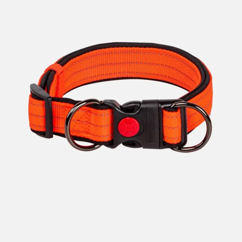S12c56ca64fb5455fbc4a85defaae39e9m - bestdoggylife.shop