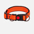 Reflective Padded Dog Collar Durable Strong Double D Ring Safety Nylon Pet Dog Collars Adjustable for Small Medium Large Dogs