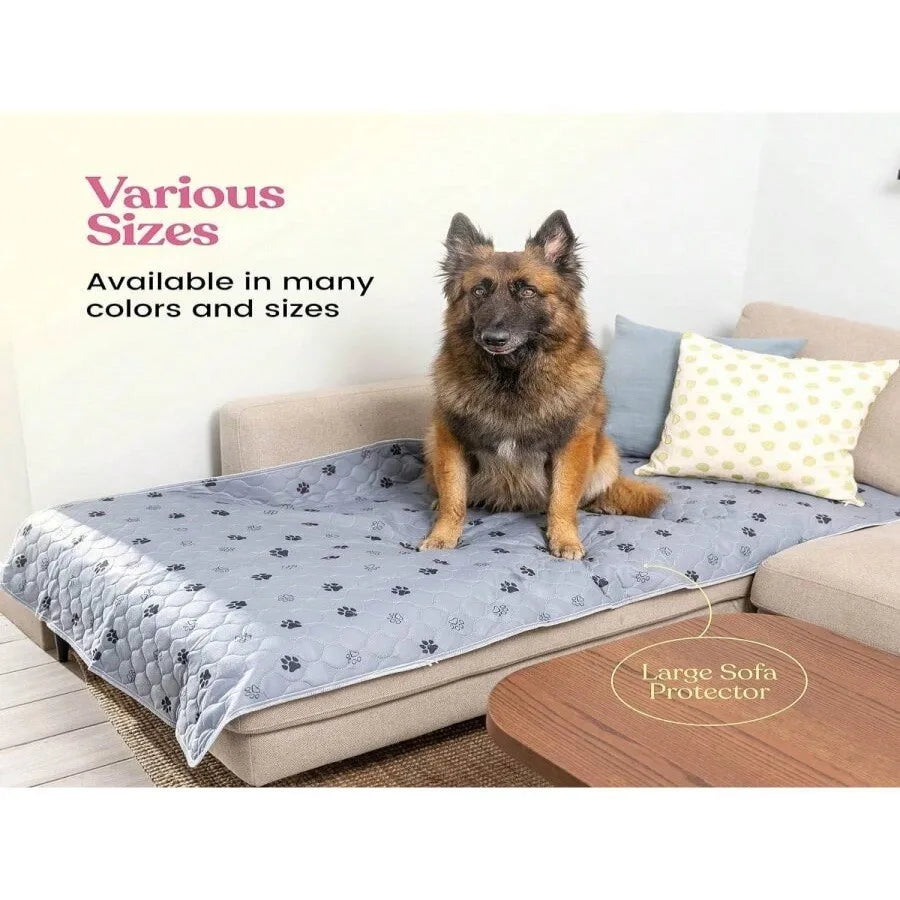 Large dog sitting on gray paw print sofa protector cover in living room