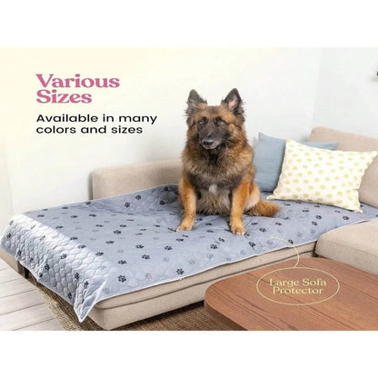 Large dog sitting on gray paw print sofa protector cover in living room