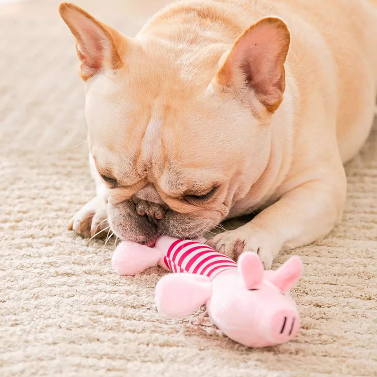 French bulldog chewing durable squeaky dog chew toys pig plush for aggressive chewers and teeth cleaning