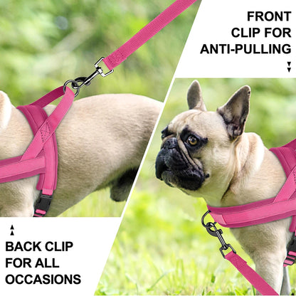 Pink no pull dog harness with front and back clips on a small dog for anti-pulling and all-occasion walking