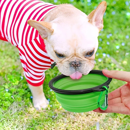 Dog drinking from a portable collapsible pet food bowl on grass, perfect for travel and outdoor use.