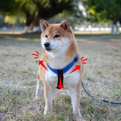 Dog wearing dog harness vest with leash, reflective quick-release nylon vest harness for small, medium, and large pets