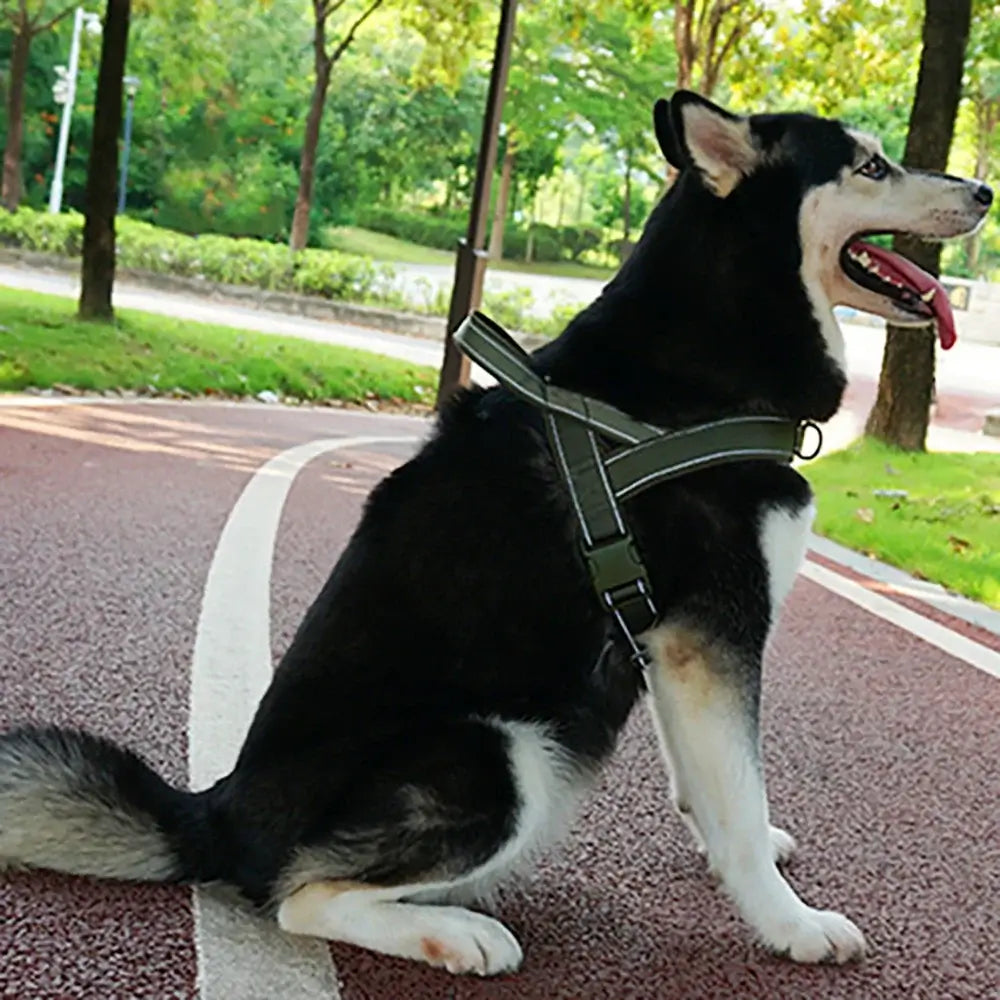 Anti-pull dog harness for large dogs on a black and white husky walking outdoors with reflective tactical vest handle