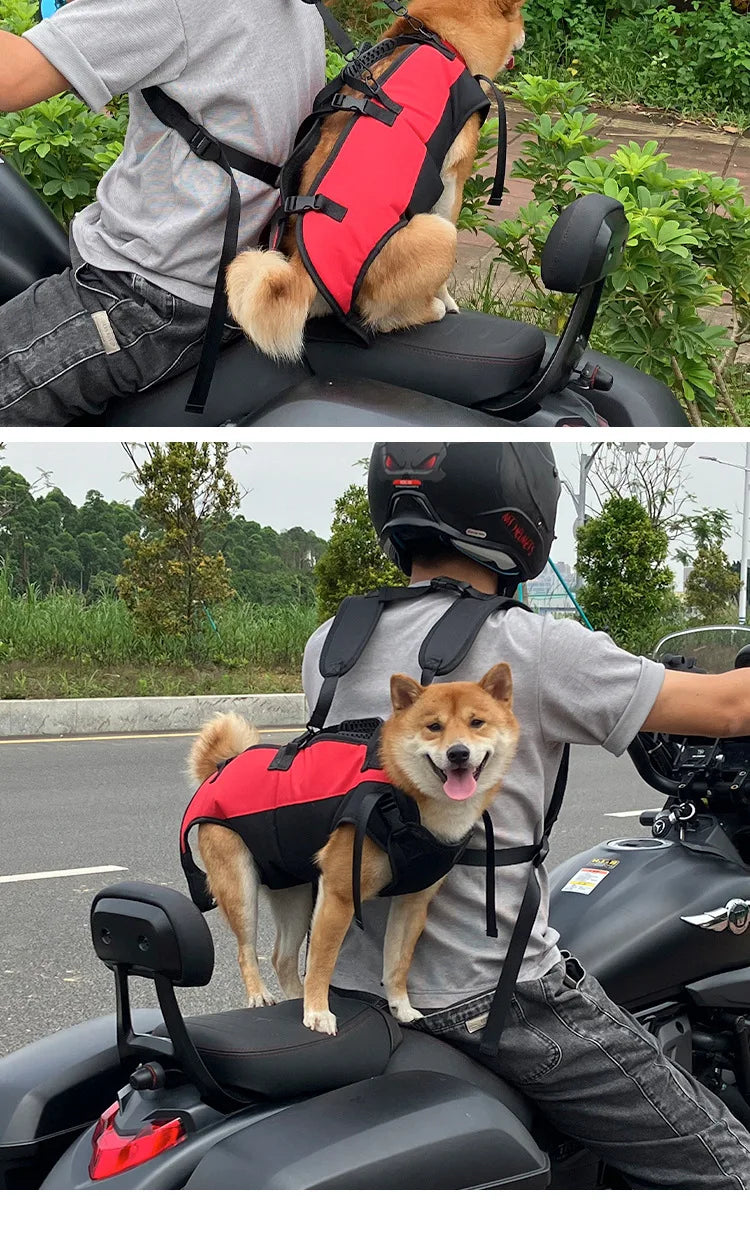 dog backpack carrier for hiking and biking on scooter with breathable belly support and adjustable straps for secure pet transport