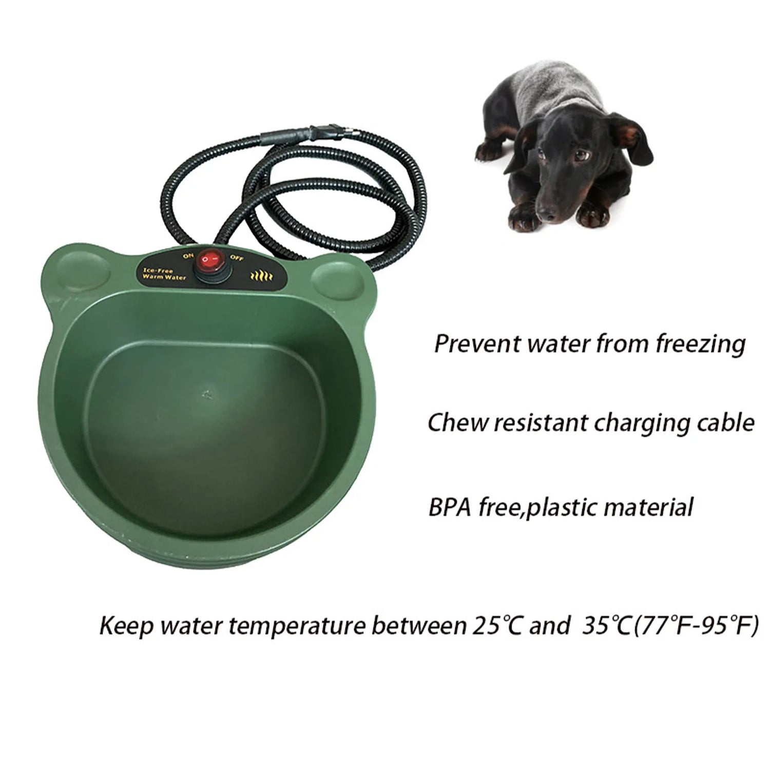 Heated green dog water bowl with chew-resistant cable, BPA-free plastic, prevents water freezing