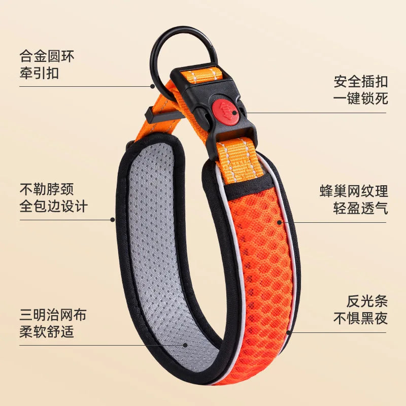 S148118901994420c9e81f62d1f2fd22db - bestdoggylife.shop