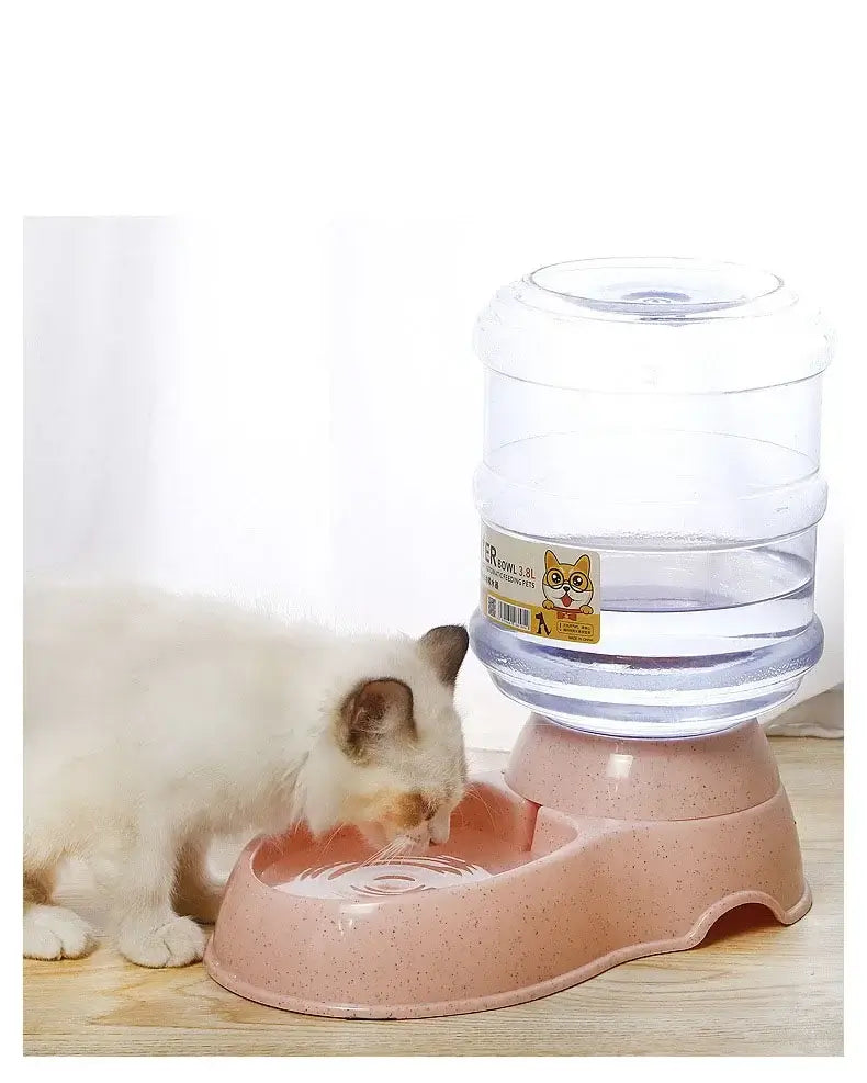 Cat drinking from pet water dispenser with automatic feeder bowl and large plastic water bottle