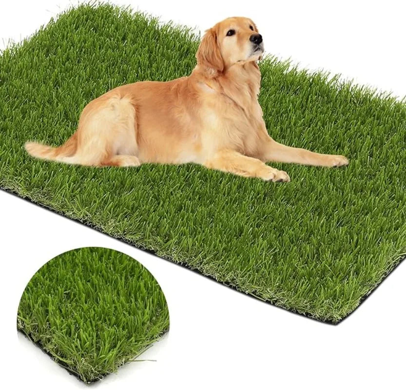 S1515be17a82f486ea97afbd7007f9fb4I - bestdoggylife.shop